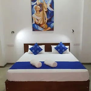 https://everdew-rooms.negombohotels.net